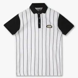 Boys Striped Regular Fit Polo T-Shirt-image-93