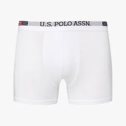 u.s. polo assn. Briefs with Brand Print-picture-23