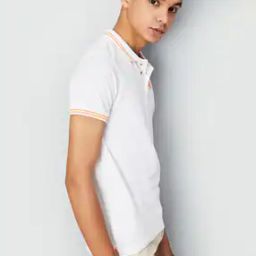 Regular Fit Polo T-Shirt with Logo Embroidery-picture-49
