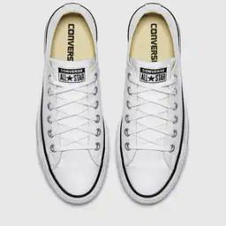 Low-Top Lace-Up Canvas Sneakers-image-54