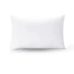 Microfiber Polyester Pillow Filler 17" x 27"-39