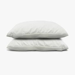 Set of 2 Zippered Pillow Covers-53