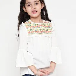 ishti Embroidered Round-Neck Top-picture-16