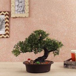 Artificial Bonsai Plant With Pot-21
