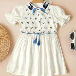 Girl Embroidered Fit & Flare Dress-image-19