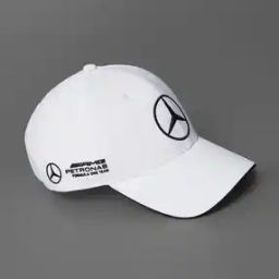Mercedes DR Cap-picture-19