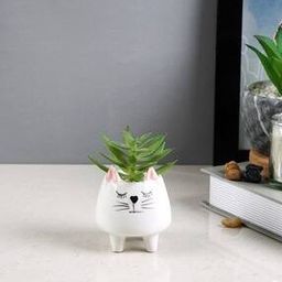 1 Pieces Succulent Artificial Plant With Pot-20