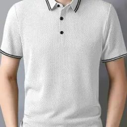 Men Regular Fit Polo T-Shirt with Short Sleeves-picture-21