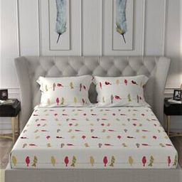144 TC Printed King Size Bedsheet with Pillow Covers-image-80