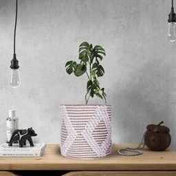Textured Cotton  Basket-picture-38