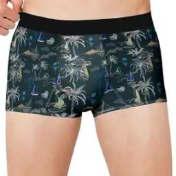 Men Printed Regular Fit Trunks-25