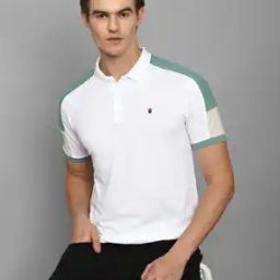 Slim Fit Polo T-Shirt with Contrast Panels-image-20