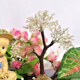 Clear Quartz Crystal Tree Pyramid Base Showpiece-image-71