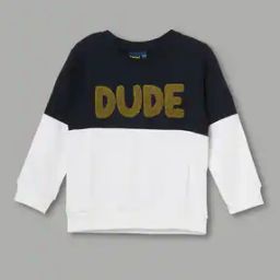 Boys Colourblock Regular Fit Sweatshirt-36