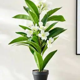 Fiesta Artificial Magnolia Flowers Pot-image-31