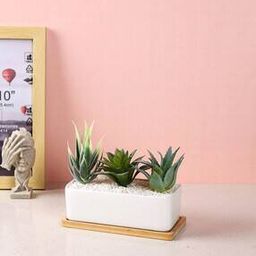 Artificial Plant with Ceramic Pot-image-66