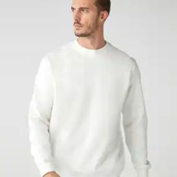 Men Regular Fit Sweatshirt with Full Sleeves-image-57