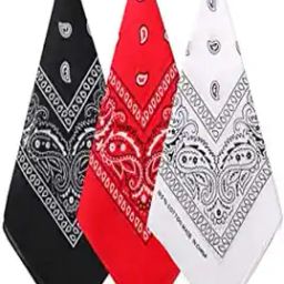 Cotton Paisley Bandanas-image-91