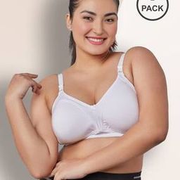 Women Pack of 2 Heavily-Padded T-Shirt Bras-image-47