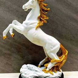 Beautiful Jumping Horse-17