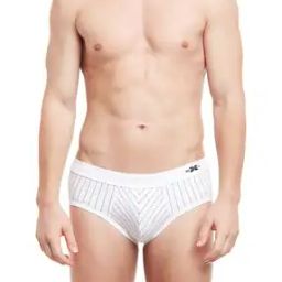 Stripes Regular Briefs-image-21