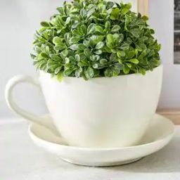 Ceramic Cup and Saucer Planter-image-97