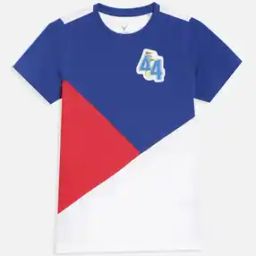 Boys Colourblock T-Shirt with Round Neck-image-63