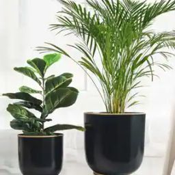 Floor Planters Set of 2-16