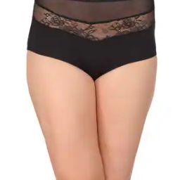 Lace Hipster Panties with Elasticated Waist-image-74