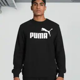 ESS Logo Print Regular Fit Crew-Neck Sweatshirt-image-11