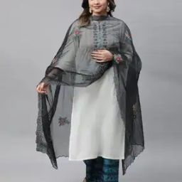 Women Embroidered Nylon Organza Dupatta-picture-19