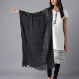 Women Checked Pure Cotton Dupatta with Tassels-image-11