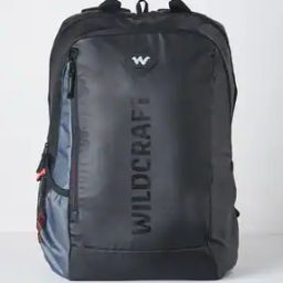 Unisex Laptop Back Pack-12
