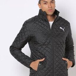 Lightweight Padded Sportstyle Core Slim Fit Jacket-picture-27