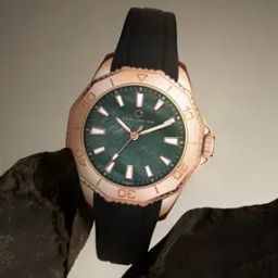 Women Analogue Wrist Watch with Tang Buckle Closure-image-10