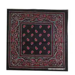 Men Printed Bandana-image-40