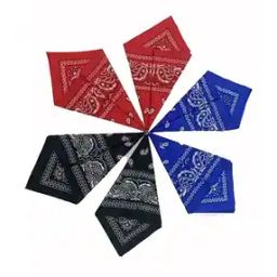 Pack of 6 Men Printed Bandanas-image-86