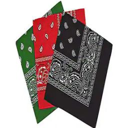 Pack of 3 Men Printed Bandanas-image-70