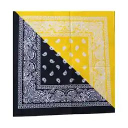 Men Paisley Print Bandana-picture-36