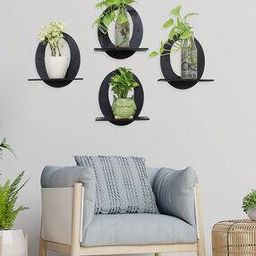 Set of 4 Random Oval Wall Hanging Laminated MDF Plants-3