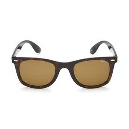 Men UV-Protected Wayfarer Sunglasses - IDSO204C2SG-35