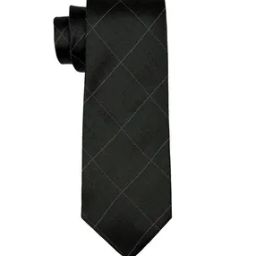 Men Checks Western Tie-image-3