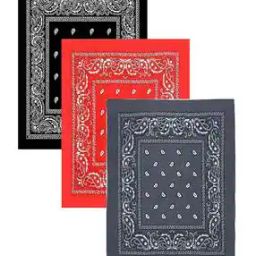 Unisex Cotton Paisley Bandanas-image-95