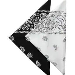 Pack of 2 Men Printed Square Bandanas-image-37