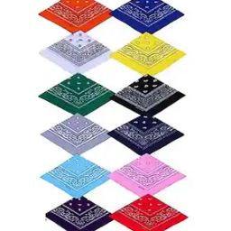 Pack of 12 Men Printed Bandanas-image-113