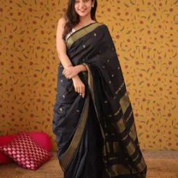 Women Woven Saree with Blouse Piece-picture-50