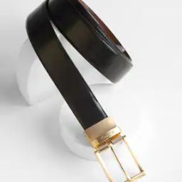 Men Frame-Buckle Reversible Belt-image-46