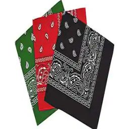 Paisley Unisex Cotton Paisley Bandanas-24