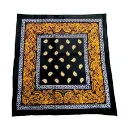 aadishwar creations Men Paisley Bandana-picture-24