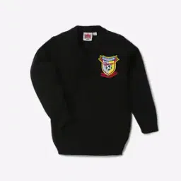 612 league V-neck Sweatshirt with Applique-picture-11